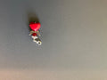 6a80d6c445a0c017a7efcadc_img-4674_1790081190355.jpeg
