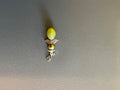 6a80d6c445a0c017a7efcadc_img-4676_1790081011961.jpeg