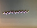 6a80d6c445a0c017a7efcadc_img-4686_1790080174464.jpeg