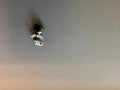 6a80d6c445a0c017a7efcadc_img-4690_1790079841241.jpeg