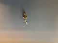 6a80d6c445a0c017a7efcadc_img-4719_1790076329402.jpeg